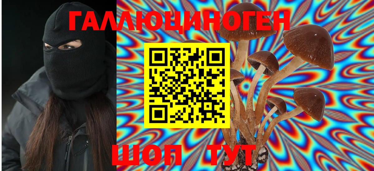 наркотики  Вход с VPN  Кореновск  Галлюциногенные грибы Cubensis 
