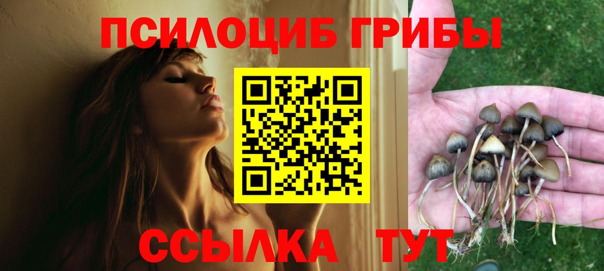 Псилоцибиновые грибы GOLDEN TEACHER Кореновск